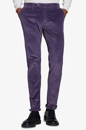 Purple velvet chino pants