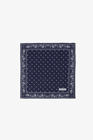 Blue cashmere design pocket square